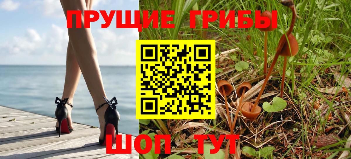 закладки  Псилоцибиновые грибы Psilocybe  Вход с VPN  Каменск-Уральский 